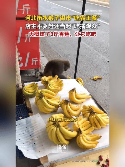 萌趣暖心！小猴闯入衡水闹市蹭吃香蕉，店主温柔包容太治愈
 
世间温柔，最是善意待
