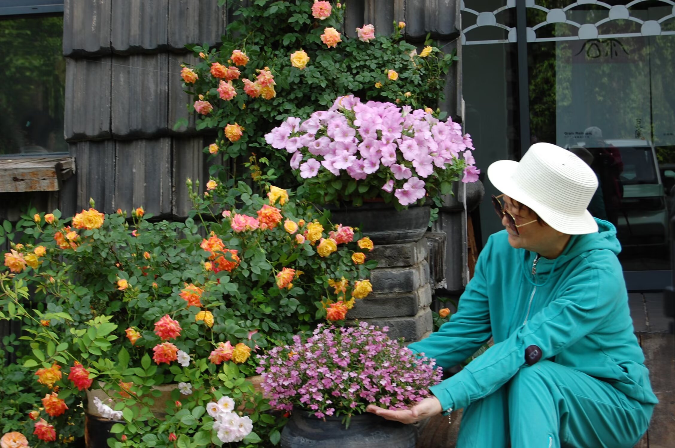 赶在夏天来临之前我遇见了书上的风景 满园蔷薇盛开，粉白玫红交织成画。着汉服，听筝