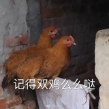 健楠品品影视剧