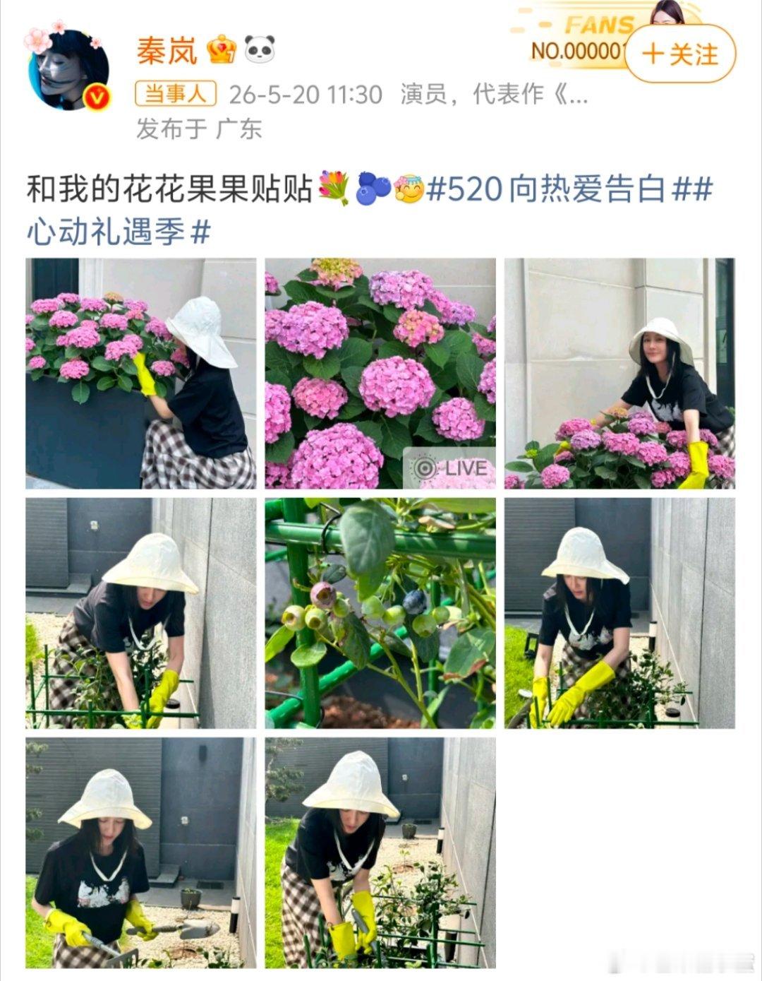 秦岚发了疑似有魏大勋声音的live图520这天秦岚发的live图，背景音居然被扒