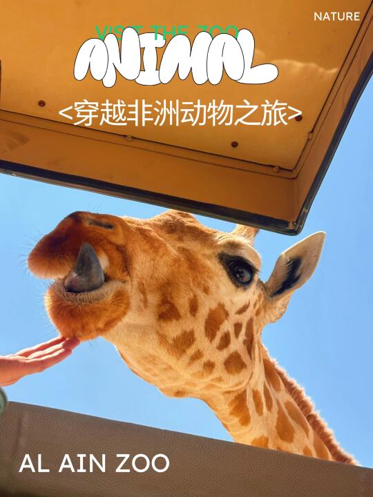 来非洲看动物大迁徙！迪拜阿莱茵动物园