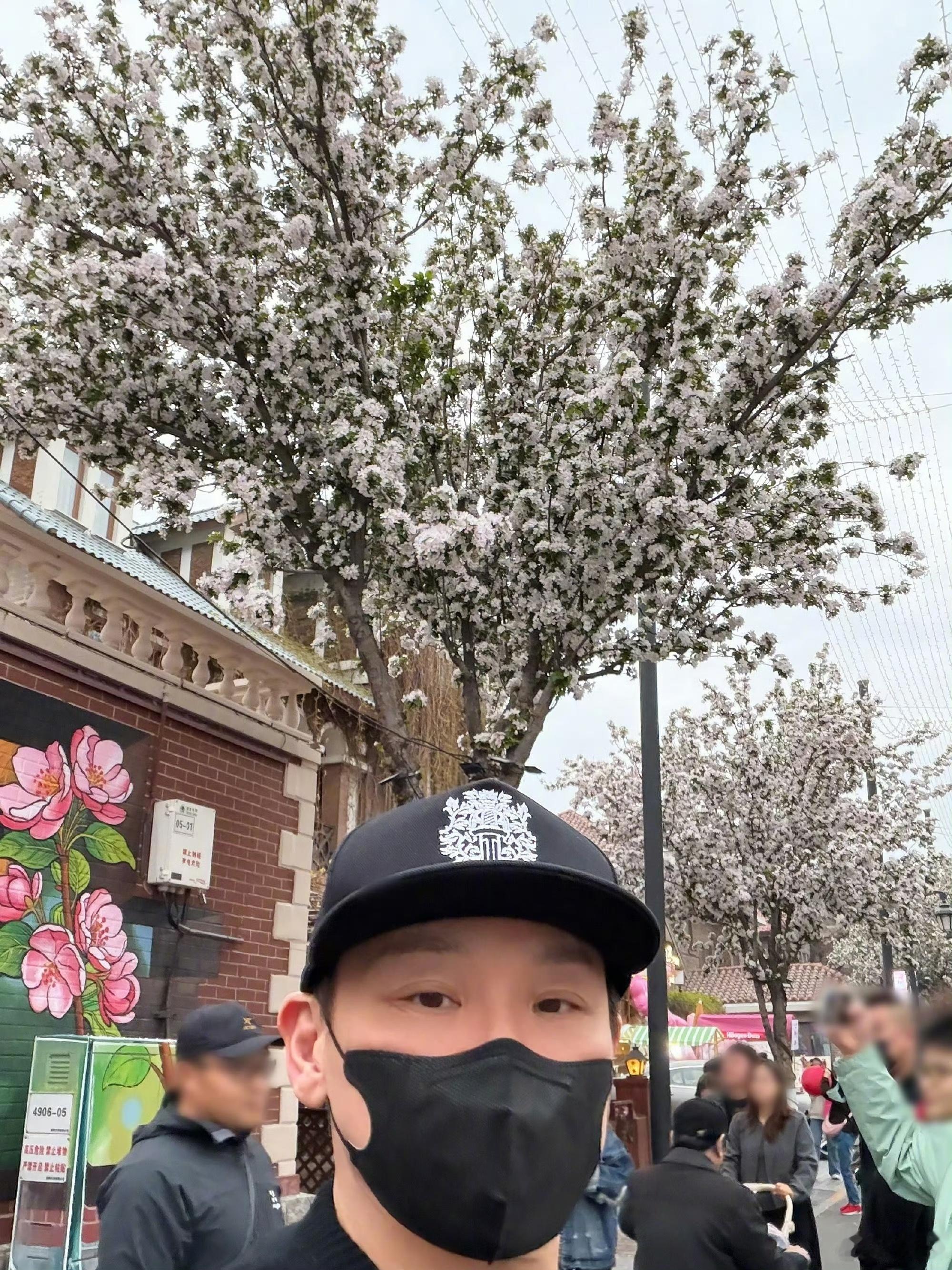 陶喆和天津海棠猫同框了陶喆天津演唱会打卡海棠花，与可爱猫咪同框，春日氛围感拉满，