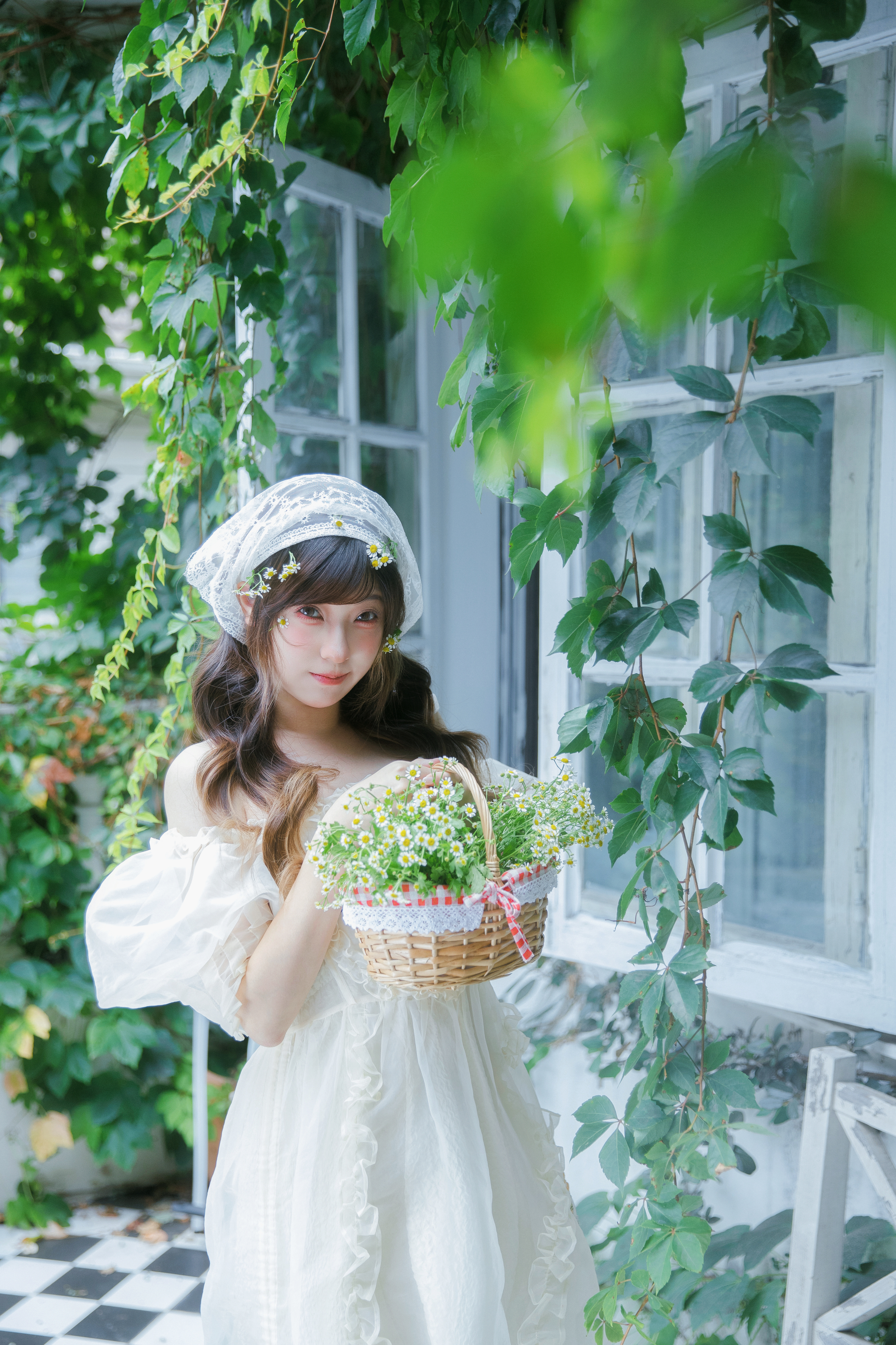 一个绿色的梦🍃📷：夏天的外景就是雏菊花渐渐耷拉的过程ヽ(´o｀；但完全美丽赞