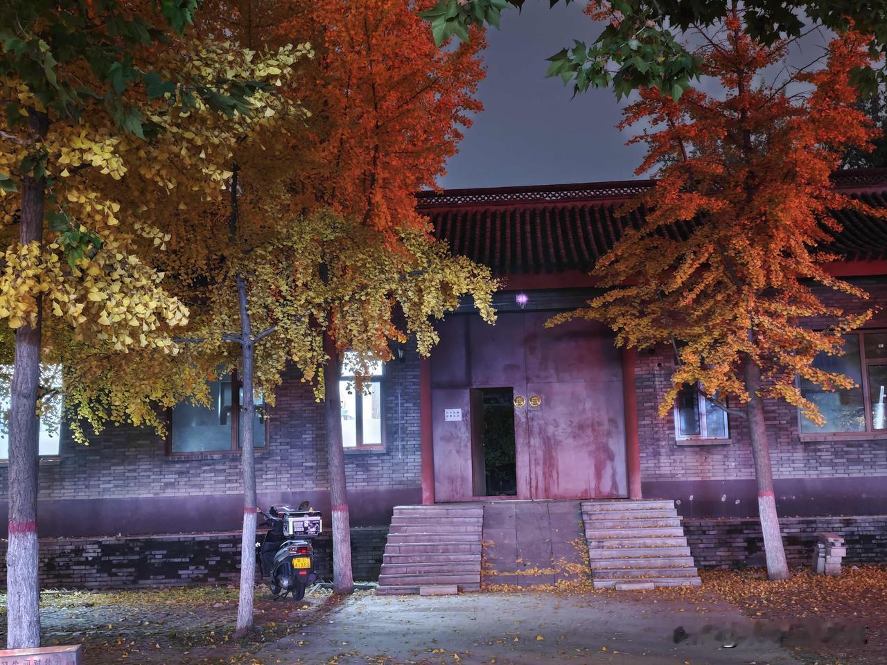 家乡已然步入深秋，而秋天正是一年中最美的时节。我每日都会到广场散步，留意着那日日