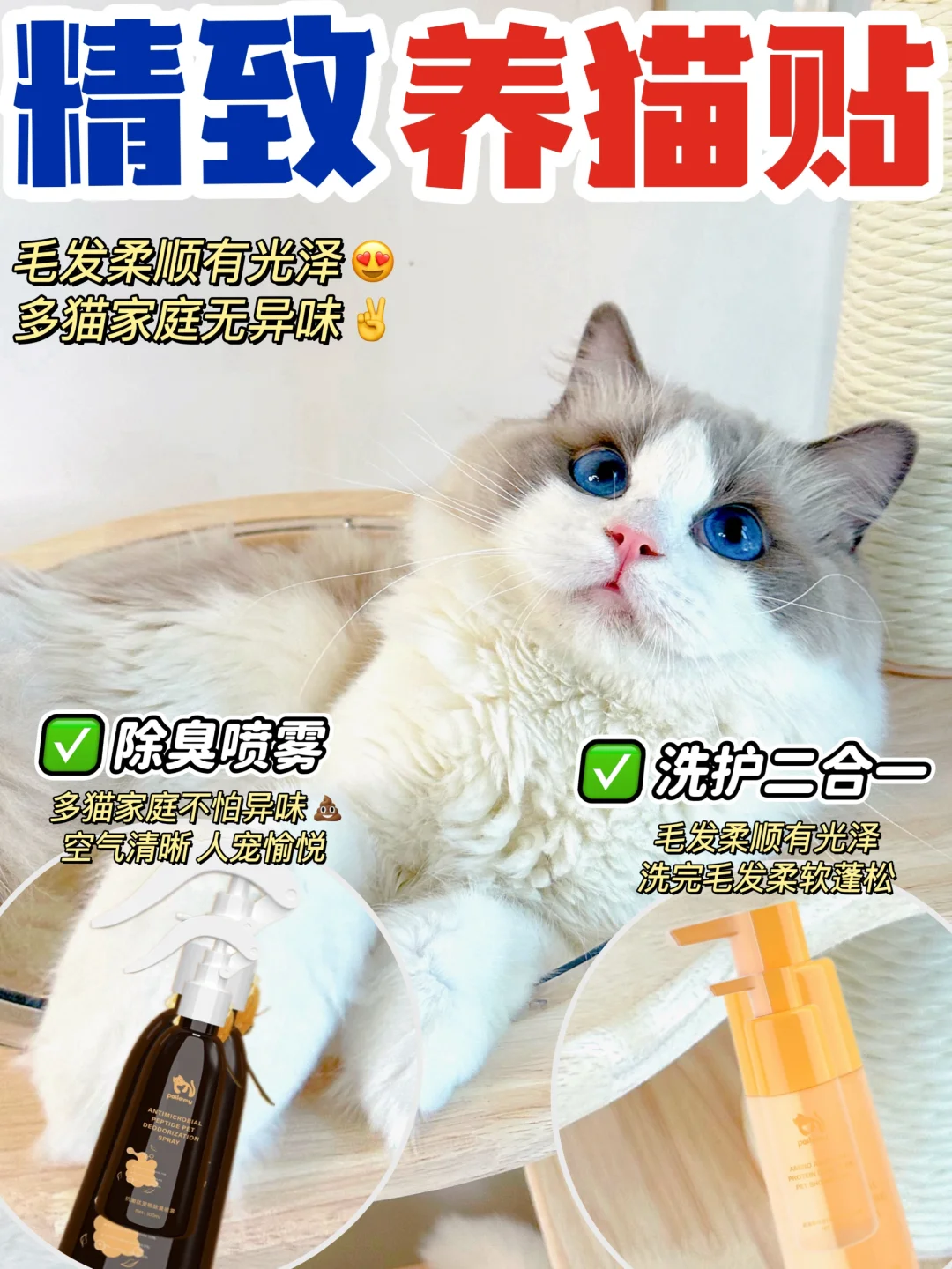 精致养猫好物｜天阿！这是什么神仙搭配