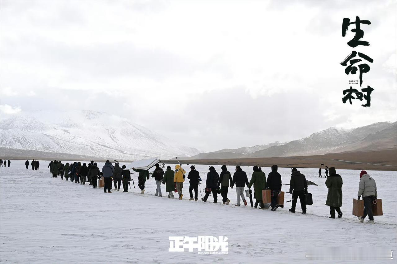 生命树 正午发的这几张图，给我感觉生命树就是一群影视人的长征。电视剧生命树