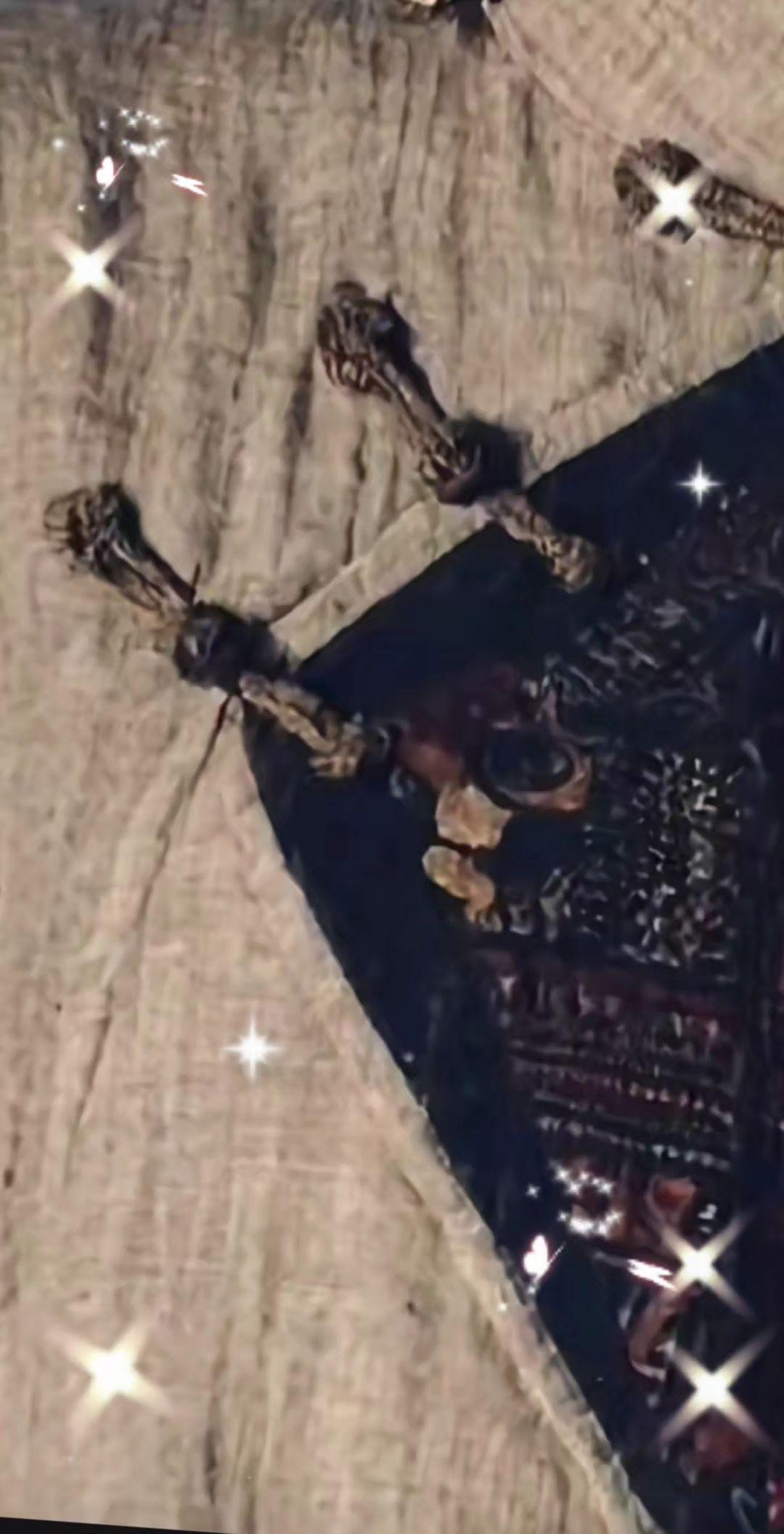 碎花裙的裙摆太轻，载不动我一身的反骨。POLO山的深情太柔，裹不住我满身硬壳。娇