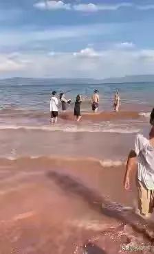 又是野游，6月1日，云南玉溪的抚仙湖游客违反规定下水游泳，不幸被大浪卷进湖里身亡