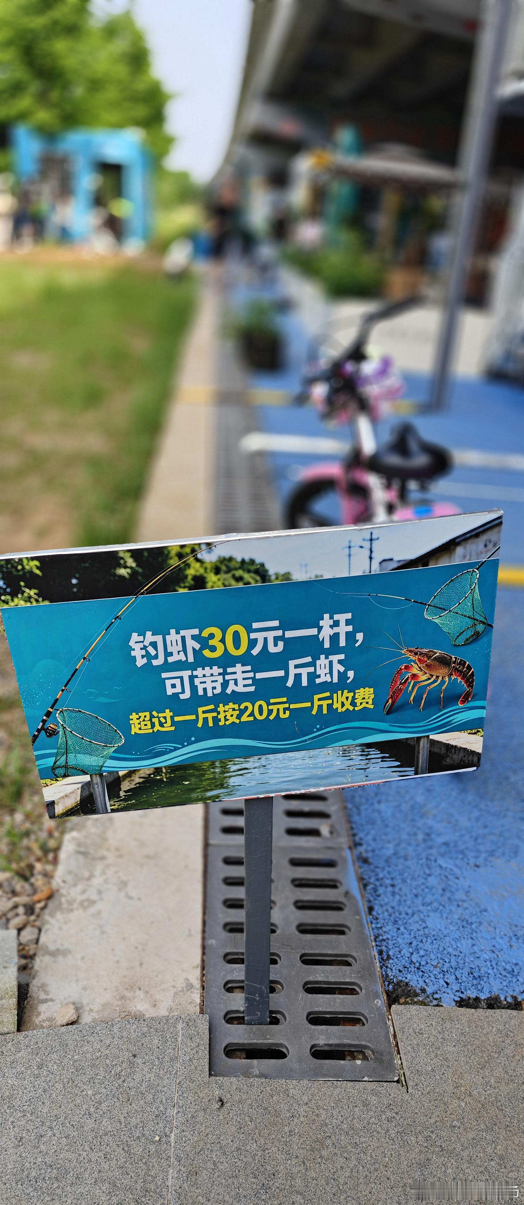 夫人选了个位置带闺女来钓小龙虾，结果在710旁边 运油20练的真勤，一会三架了 