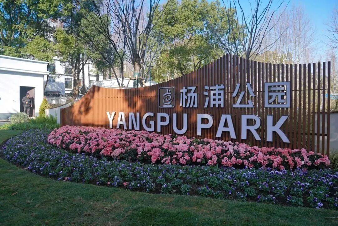 凌晨四点，她摸黑吞下八粒丹参滴丸，身体突然像踩空台阶一样猛地一抖。
你猜她接下来