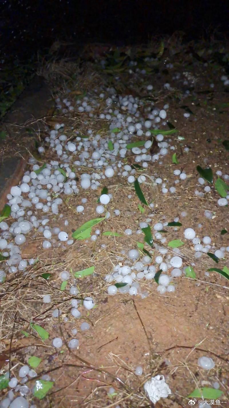 好担心扎堆的冰雹天气出现！早上6点，被窗外细密不绝的雨声和间歇滚过的雷声惊醒。昨