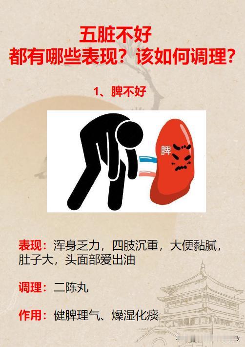 五脏不好，都有哪些症状？该如何调理？

1、脾不好——运化失常，湿气内生——二陈
