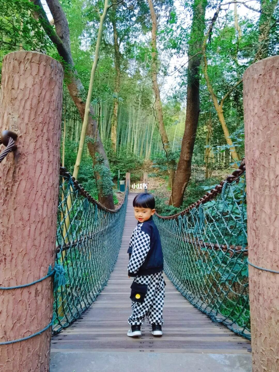 去了杭州99次，才发现西湖这条小众徒步路线