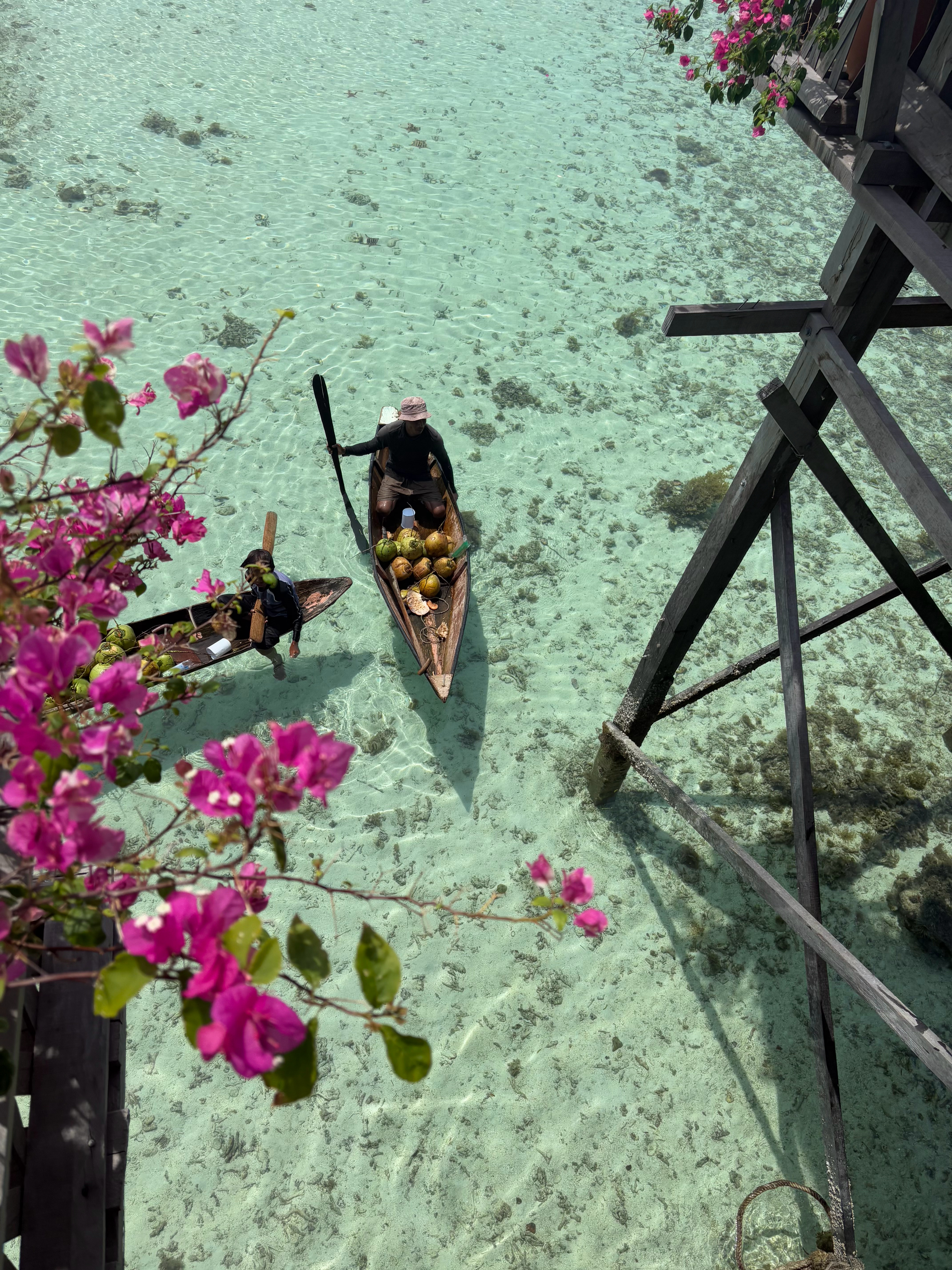 仙本那你美晕我了🛶🚣🐠🥥 印度尼西亚·马布岛