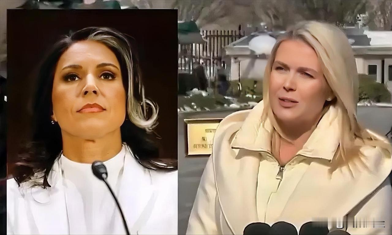 白宫新闻发言人卡罗琳:“图尔希·加巴德已经被美国总统任命负责监督美国选举的公正与