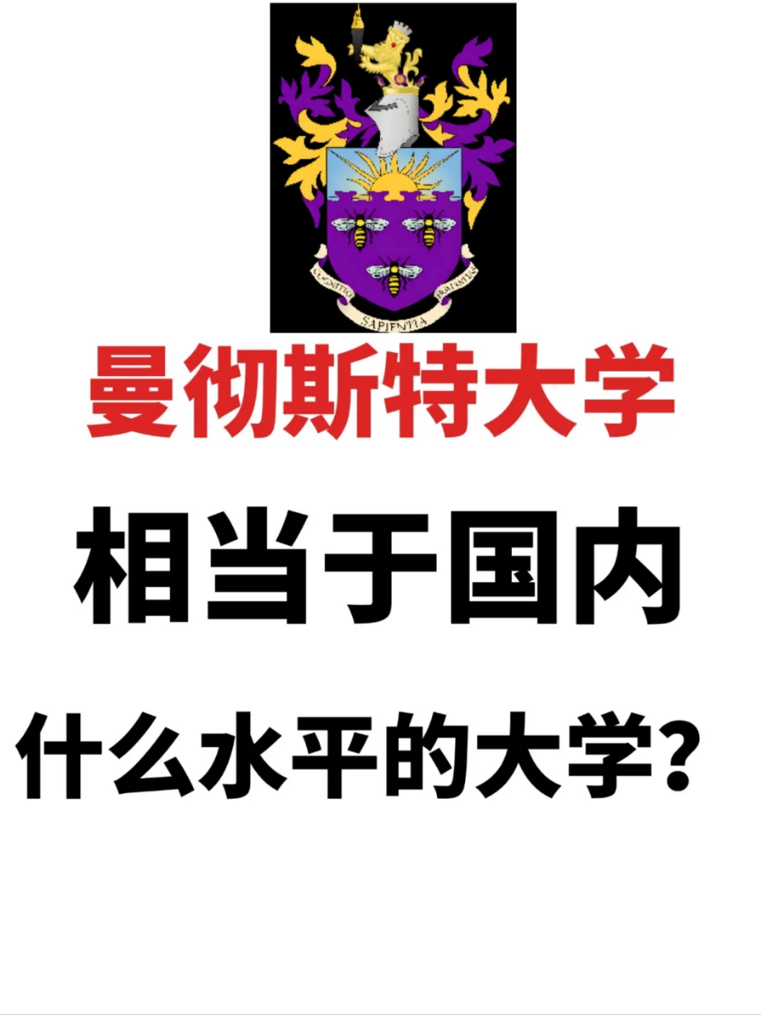 曼彻斯特大学相当于国内什么水平的大学❓