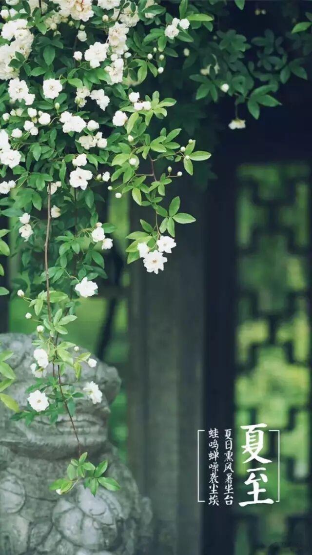 夏至后得雨  宋•苏辙天惟不穷人，旱甚雨辄至。麦乾春泽匝，禾槁夏雷坠。一年失二雨