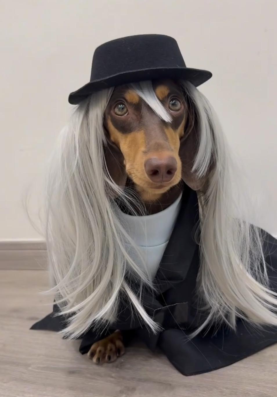 琴酒的最强地表Coser，哈哈哈哈哈哈哈哈哈哈哈哈哈哈名侦探柯南 ​​​