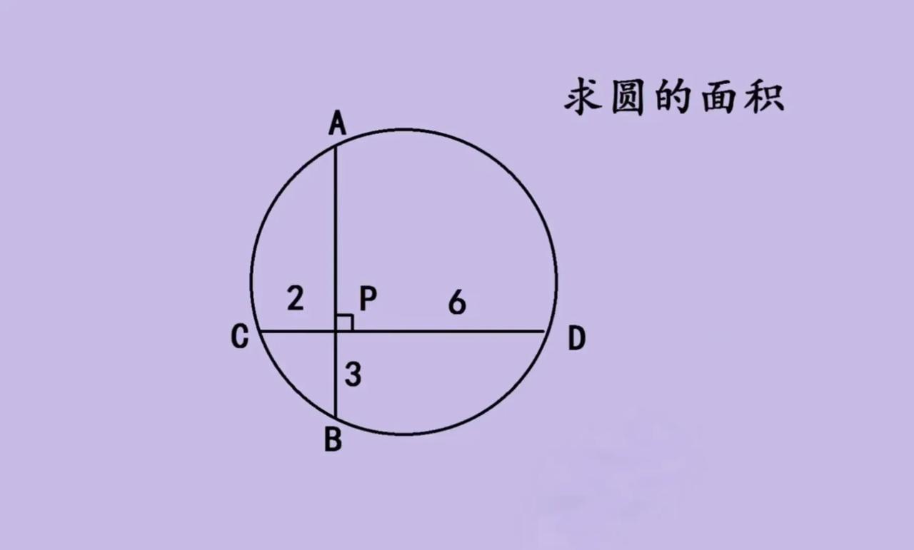 看这道中考数学求圆面积的几何题！圆里有两条互相垂直的弦 AB 和 CD ，交点 