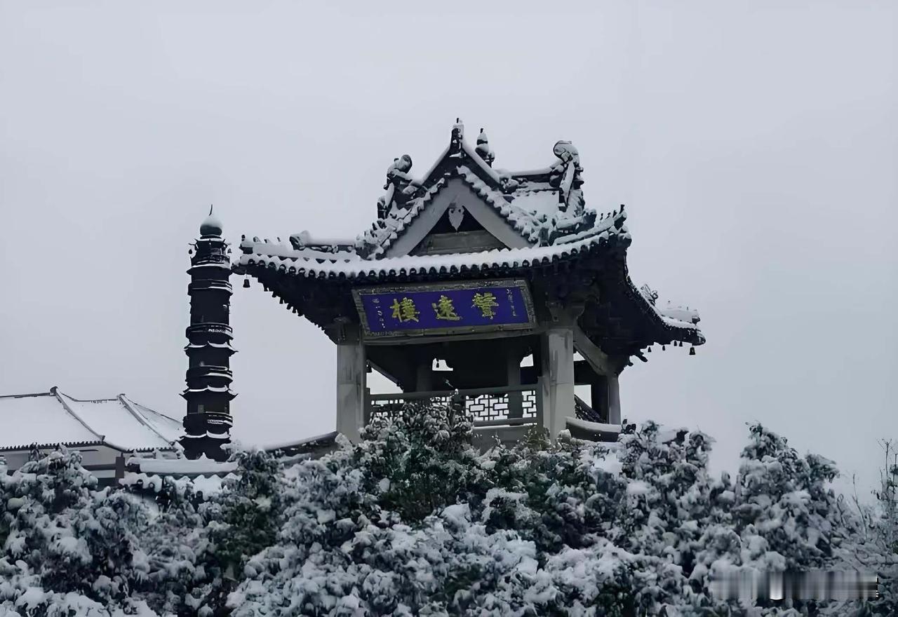 有钱有时间你会常去旅游吗?
【小对联】
上：……？
下：专程。