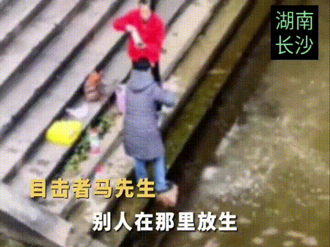 近日湖南长沙，有钓鱼爱好者，吐槽别人在这里钓鱼，她们在这里放生，放生的是大米和牛