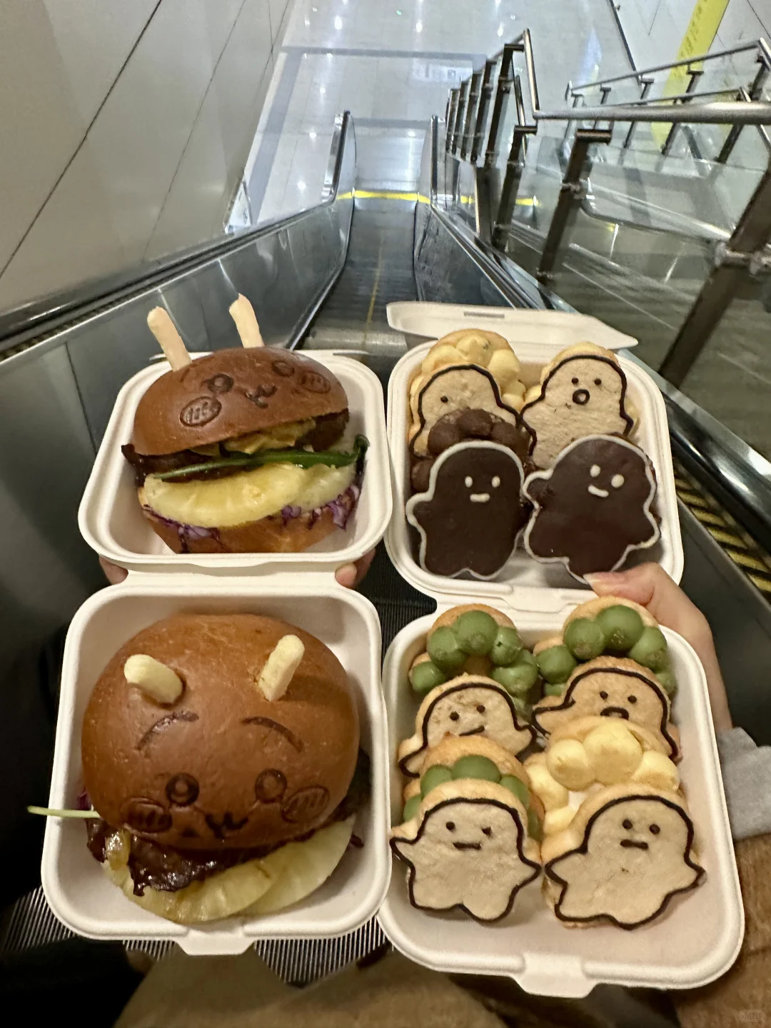 不羡慕别人！！因为重庆也有可爱的达克瓦兹！！