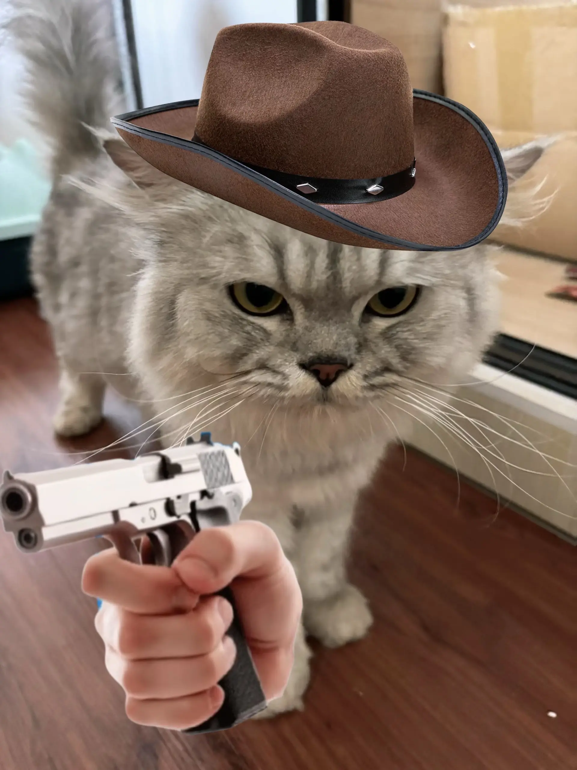 西部牛仔两兄弟🤠