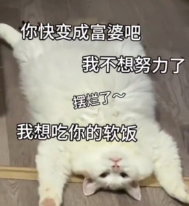 好累，下班回来啥也不想干就想上床🛏️睡觉，脸都不想洗了，浑身没劲啊！ 