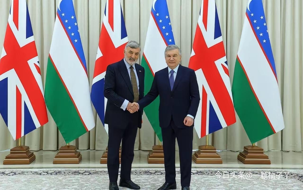 最近英国终于盯上乌兹别克斯坦的矿产宝藏，急着进场追赶已经抢先布局的美国。根据20