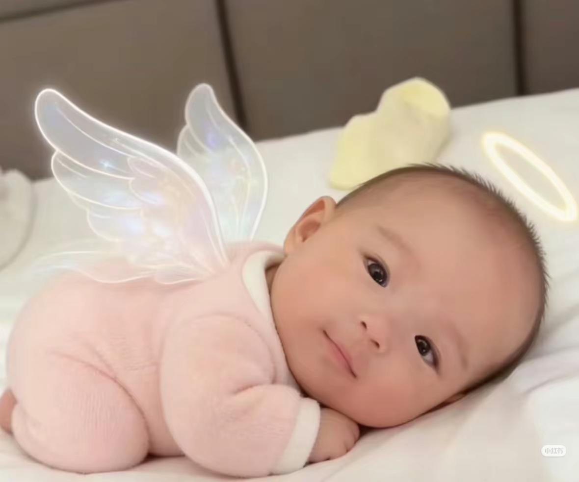 洛神。她太可爱了