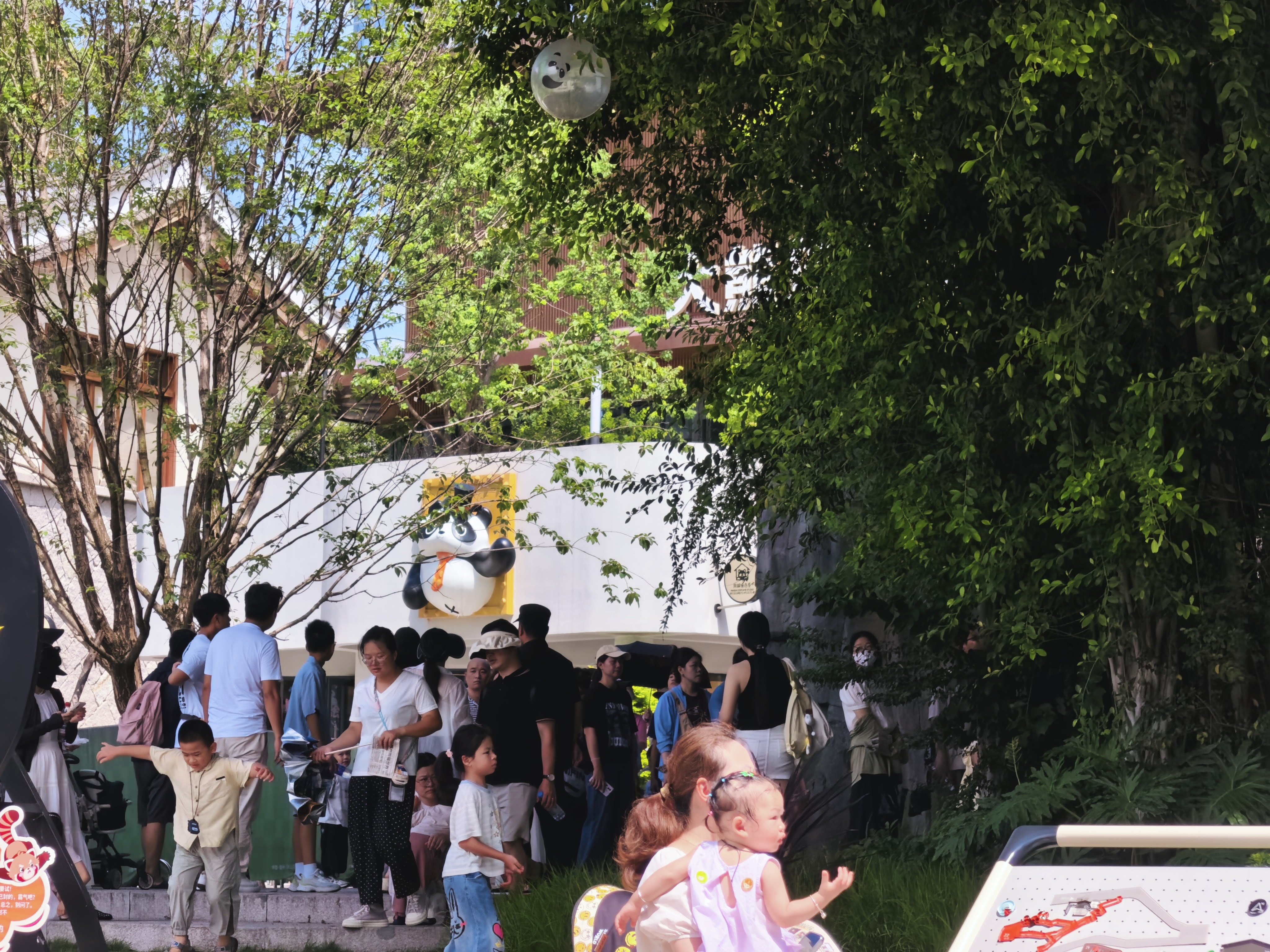 幸亏来得早，科豆已看完，还不夸张现在已经排长龙等看科豆。 福州·福州熊猫世界
