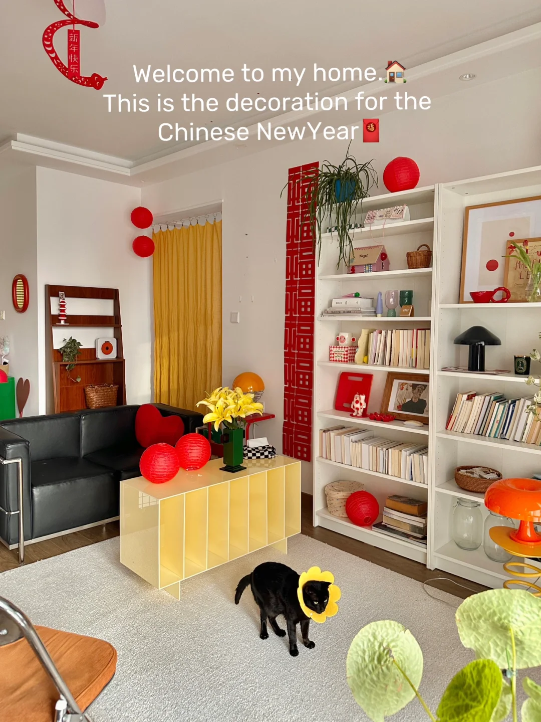 What’s up,American TT Friends😋