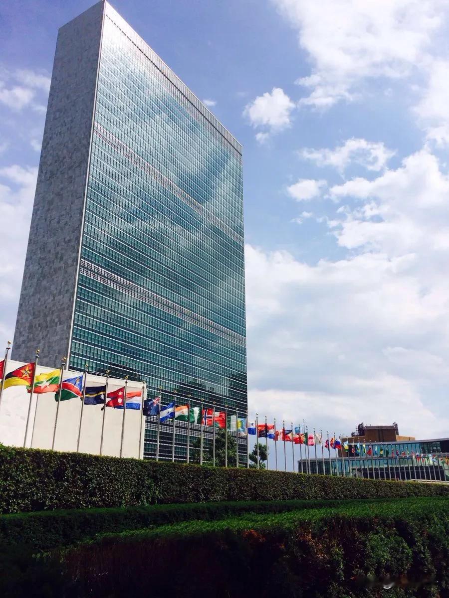 这才是美国速度，人家美国确实好，一个联合国总部大楼电梯光维修都得三个月，这敬业程