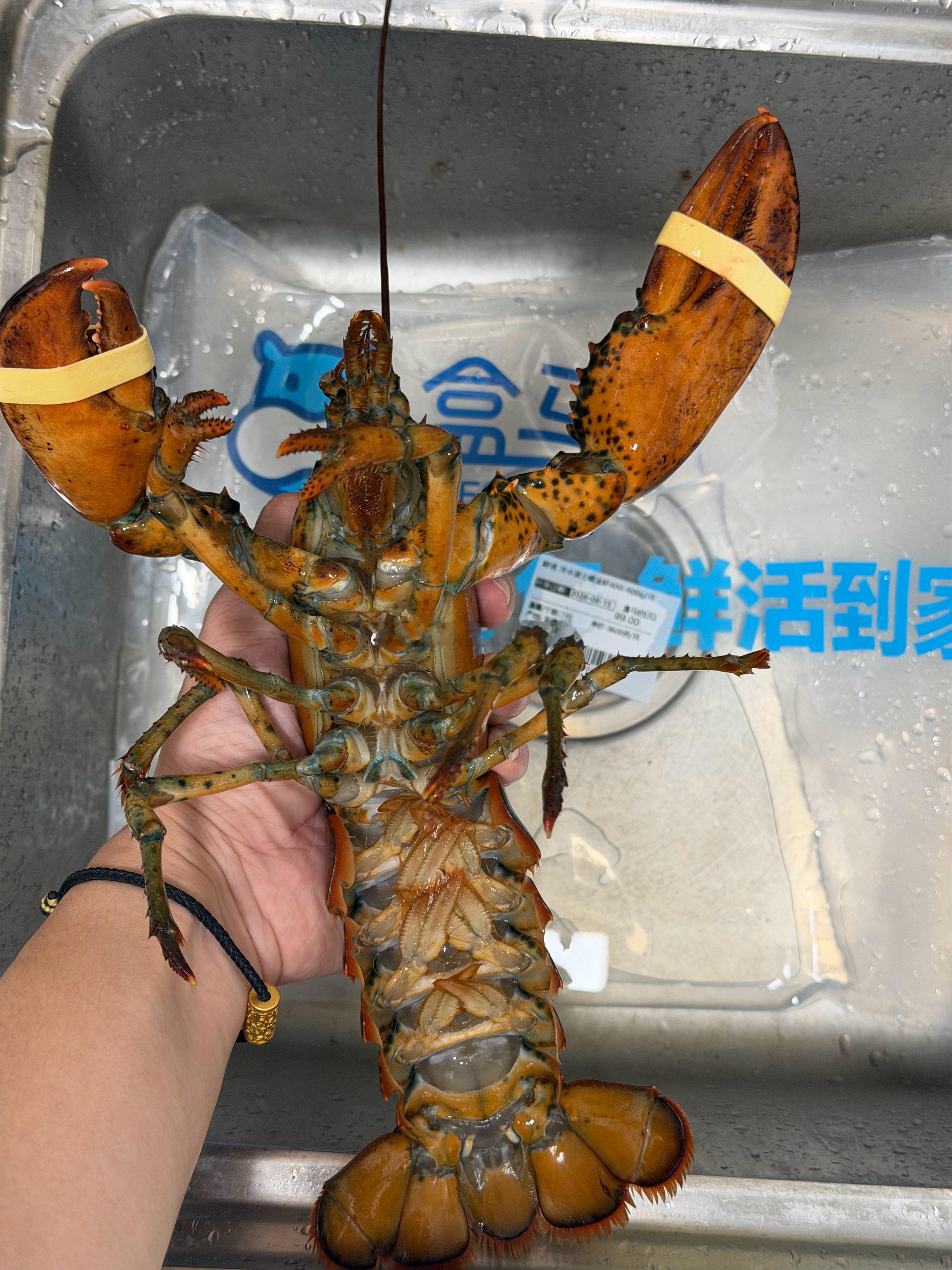 中午吃这个！ 