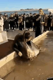 抓多少，就必须带走多少，大姐终究高估自己的实力了。