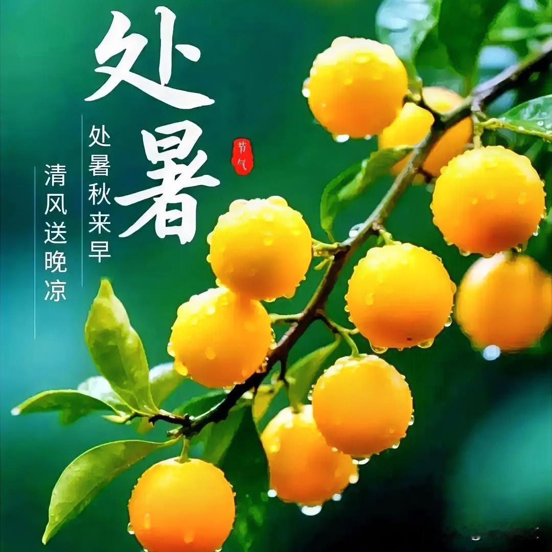 老话“早处暑凉飕飕，晚处暑热死牛”，今年处暑算早还是晚？
 

农村种地的老乡，