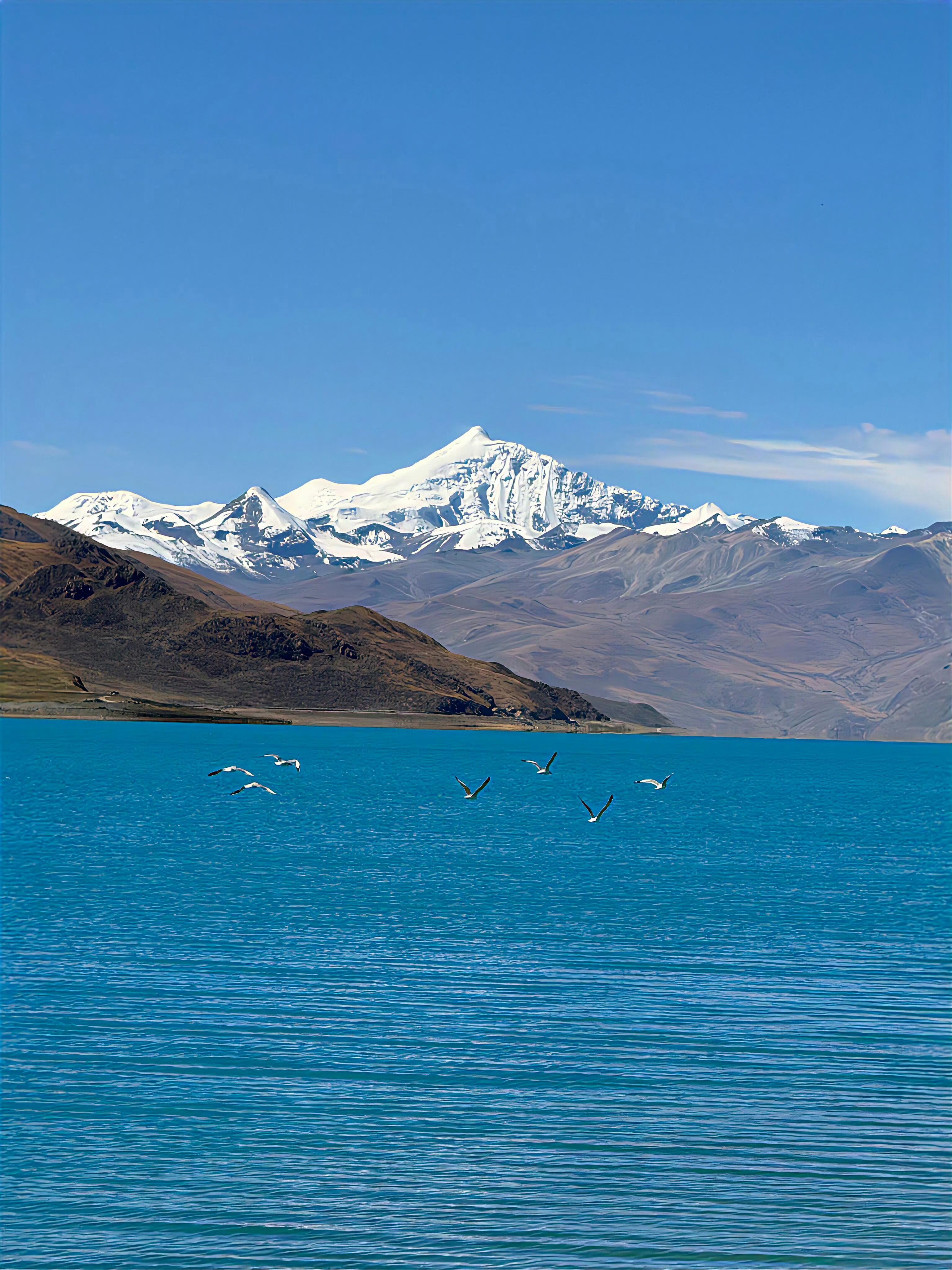 哎我跟你说，拍照这事儿真不用太复杂。风景好看的关键就三个字，别站正！！！首先别傻