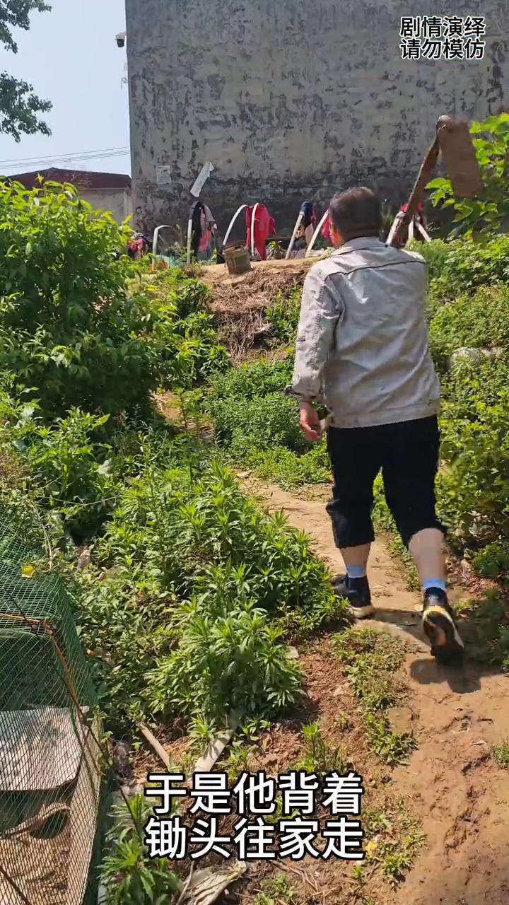 爸爸干活回到家，女儿给他端水喝，这一幕真的太感人了。
男子在菜园正锄地，这时他看