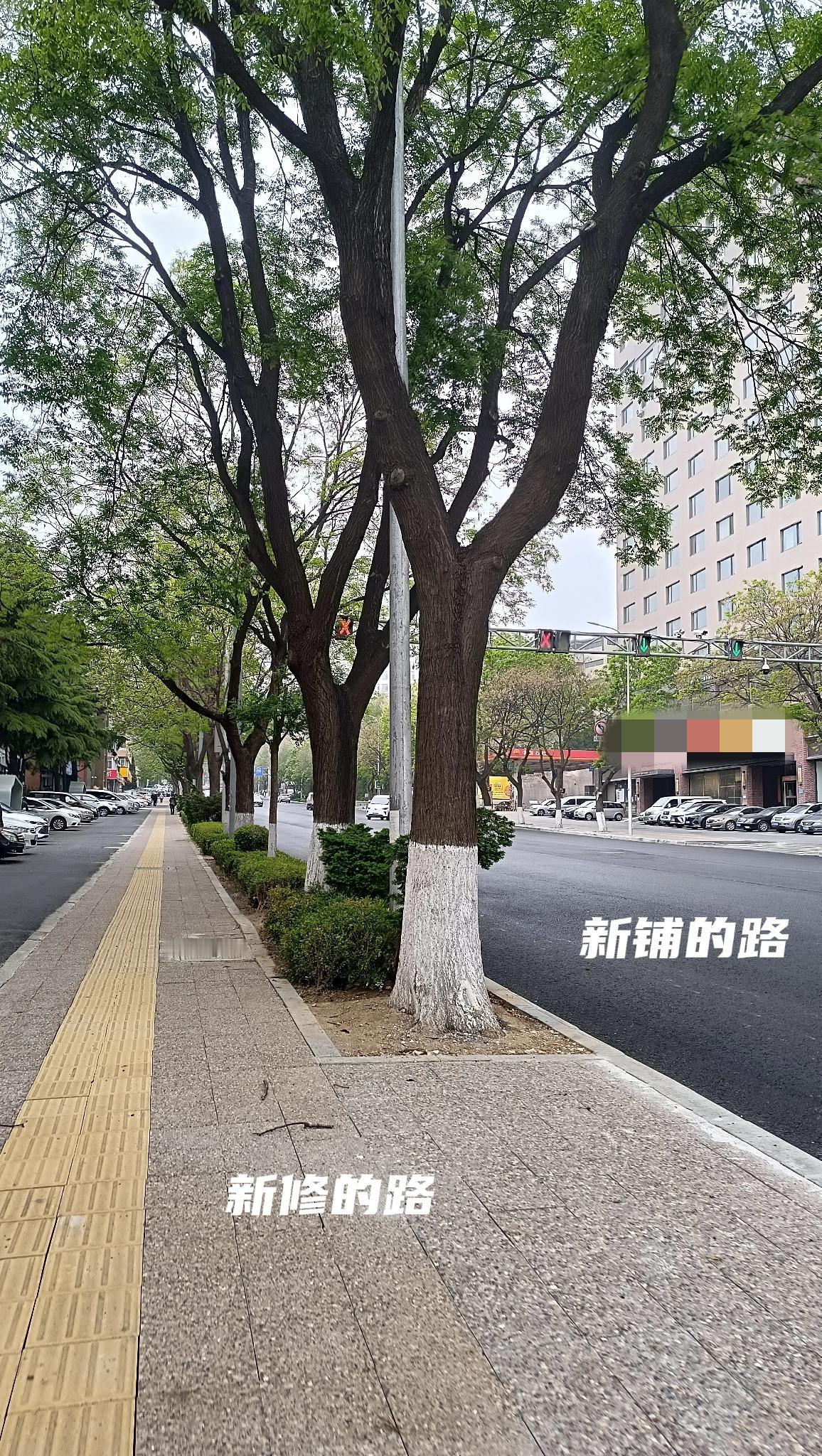 5月12日 周二🧮总结：学校作业15分钟；家庭学习内容63分钟；课外阅读21分