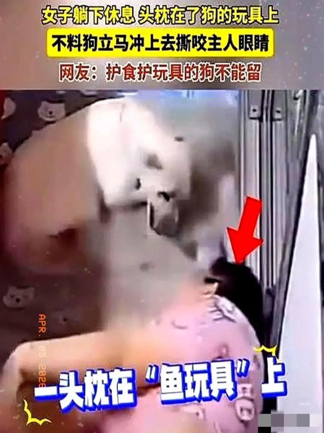 畜生永远是畜生！黑龙江一女子躺下休息，头枕在了狗的玩具上，没想到狗扑到主人的脸上