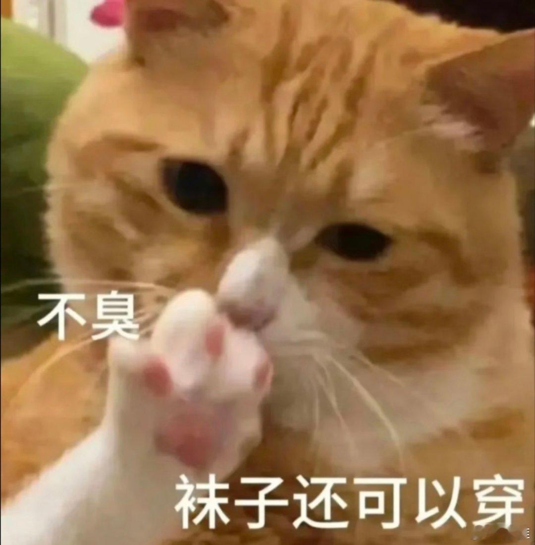 有趣的表情包。 