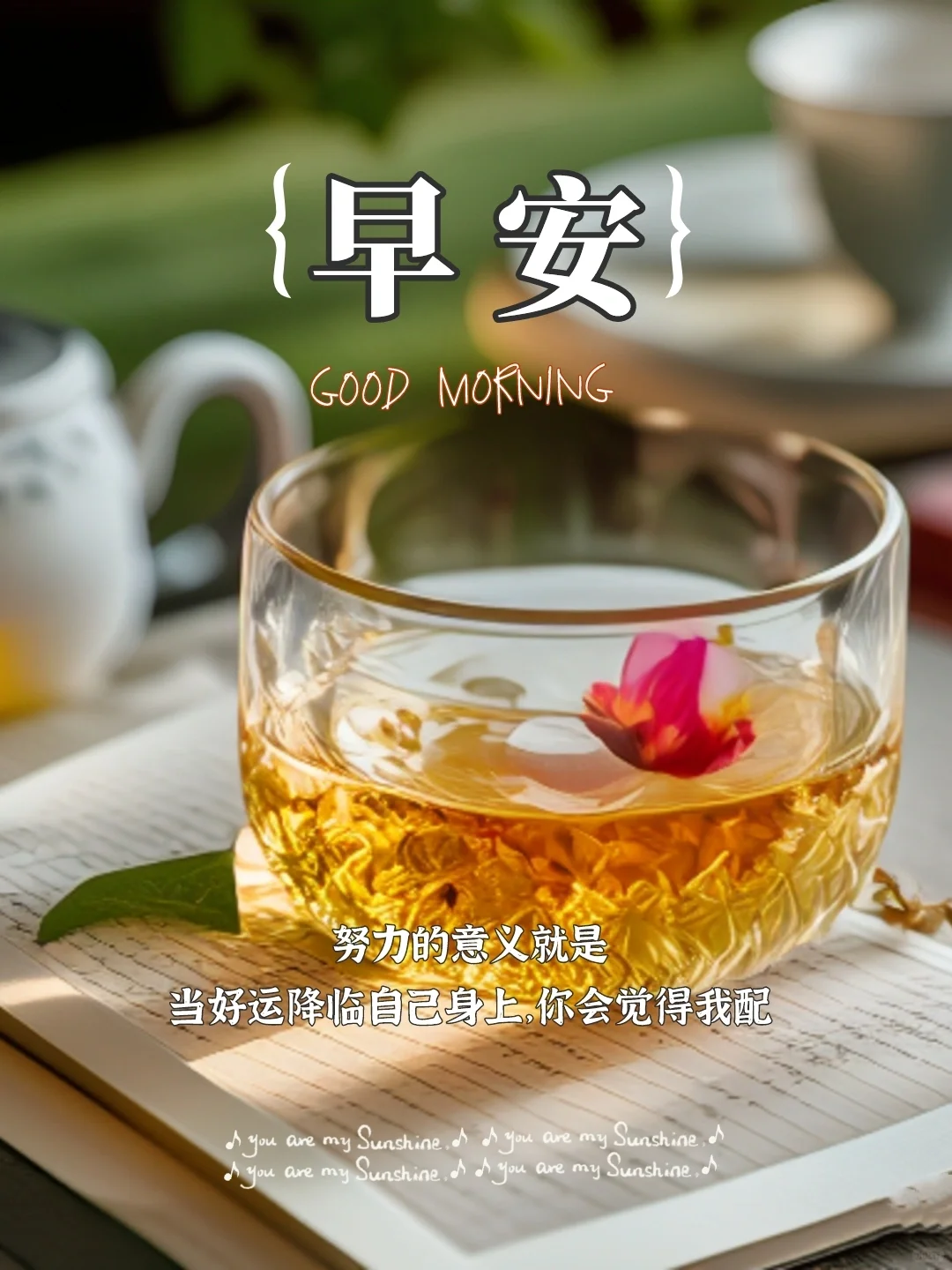 早安文案｜早安海报｜早安心语｜朋友圈文案