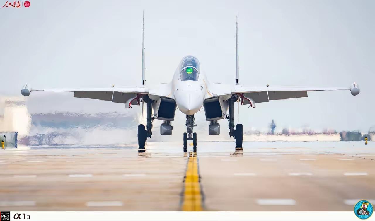 歼15DT，弹射型重型电子战机，蓝星最强，没有之一。