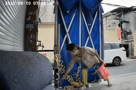 “笑不活了！”浙江，一位大妈路过一家门店时，竟然把目光锁定在了狗窝中的一个钢盆。