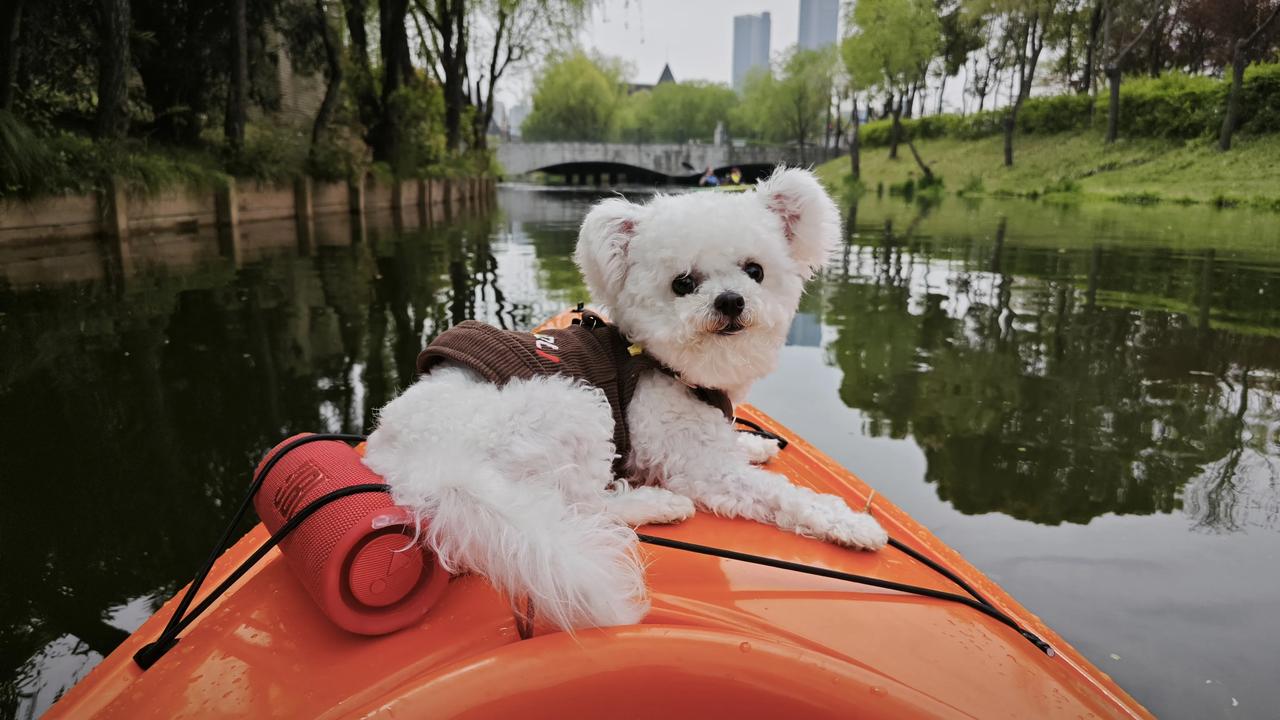 周二收盘点评（4月7日）
 
今日三大指数弱势小幅反弹，整体走势偏震荡、量能不足