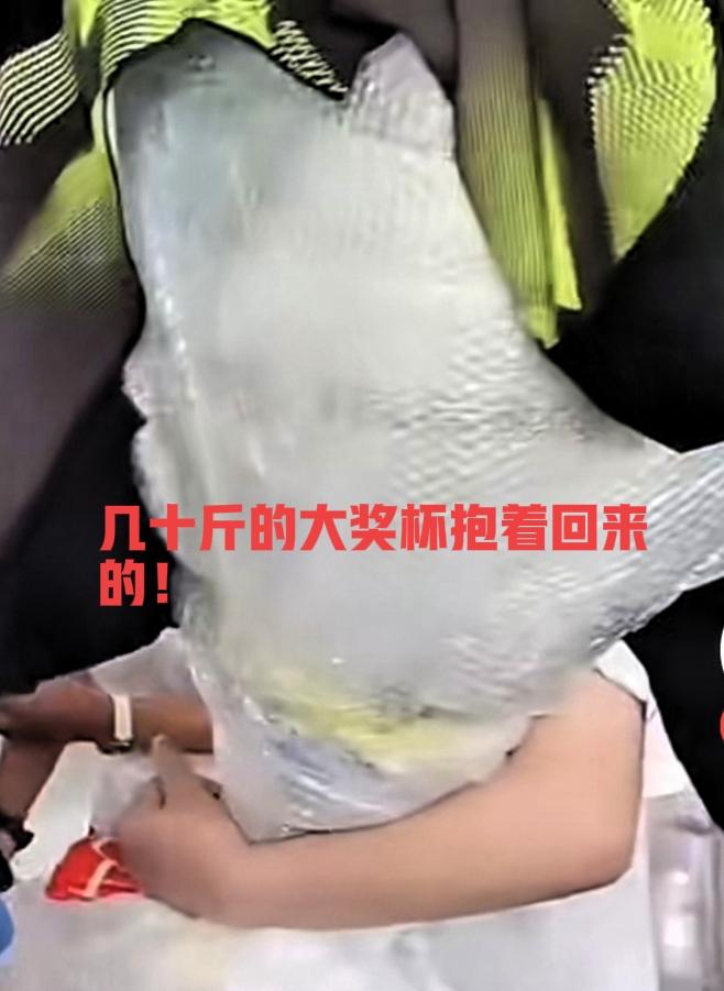 中国足球小将在欧洲七战七胜，获得的大奖杯顺利，安全，回国了！受到中国车友，网友的