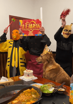 旺财，生日快乐！