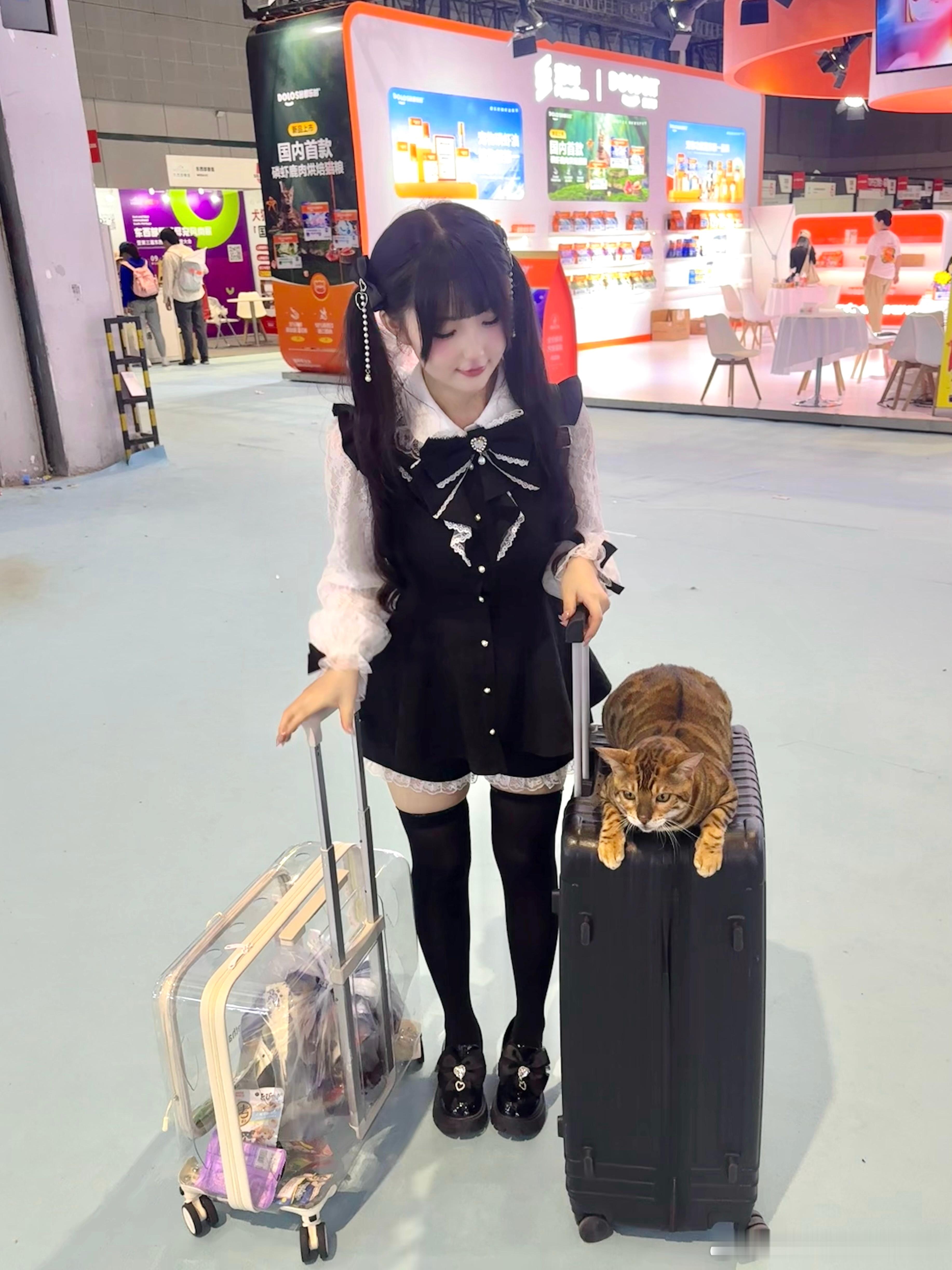 带杰森去逛宠物展啦！带了好多猫条回来 今天是稳重的杰森少爷 ​​​