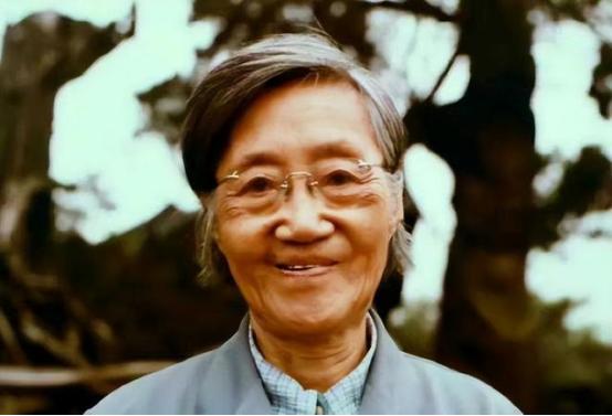 1960年，北大才女王承书狠心抛弃丈夫和孩子后不辞而别。17年后，当满头白发她出