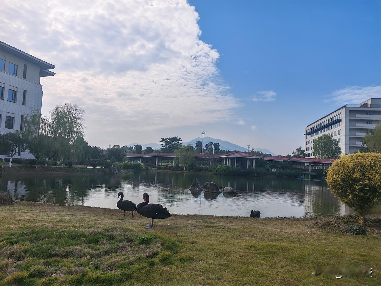 景色优美
学习就更有动力